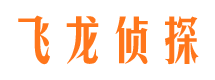 大柴旦私家侦探公司